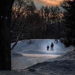 Silhouette people on frozen beach against sky during sunset