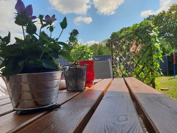 Close-up of potted plants on table against sky