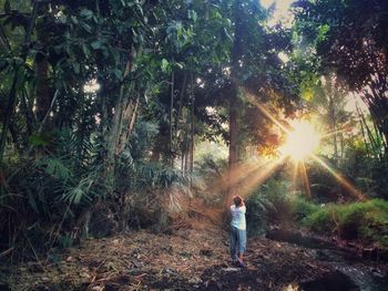 Rear view of woman standing by trees in forest