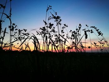 Silhouette plants on field against clear sky during sunset