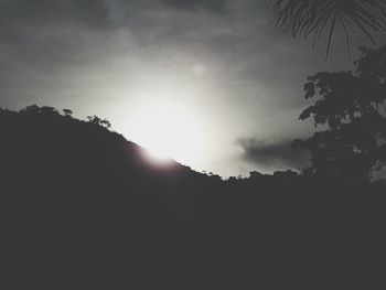 Low angle view of silhouette trees against sky