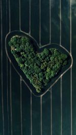 High angle view of field with heart shaped trees