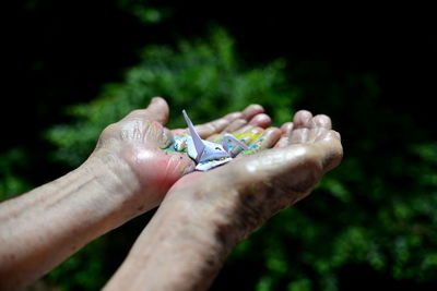 Close-up of hand holding plant