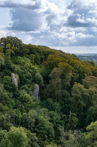 Scenic view of trees against sky