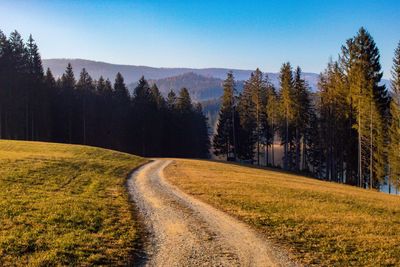 Road amidst trees on field against sky