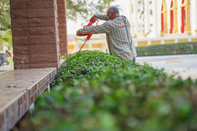 Man standing by plants