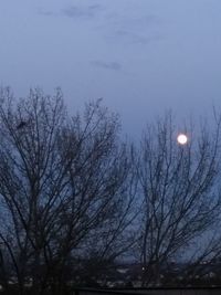 Low angle view of bare trees against sky