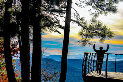 Trees on mountain against sky