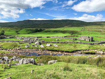 Countryside in the yorkshire dales