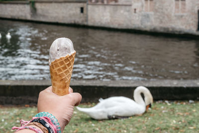 Cropped image of hand holding ice cream cone against swan by lake