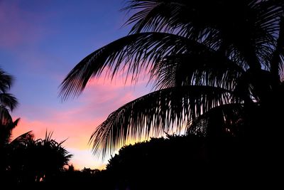 Low angle view of silhouette palm trees against sky at sunset