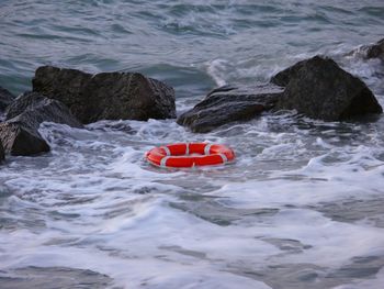 Life belt in floating in sea