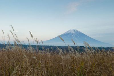 Scenic view of land against sky