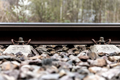 High angle view of small bird on railroad track