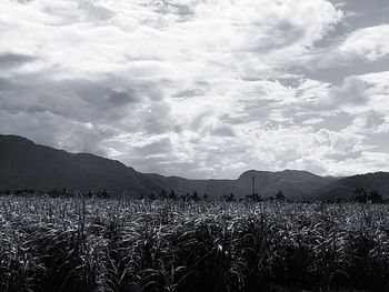 Panoramic view of sky