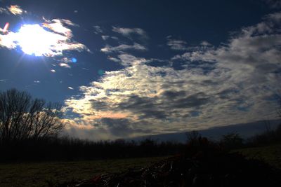 Silhouette trees on field against sky at sunset