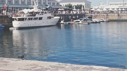 Boats moored at harbor