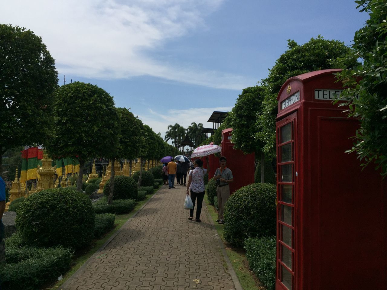 REAR VIEW OF PEOPLE WALKING ON FOOTPATH AMIDST PLANTS