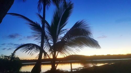 Silhouette palm tree by lake against sky during sunset