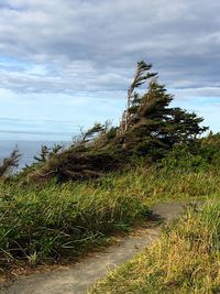 Scenic view of landscape against sky