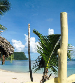 Palm trees on beach