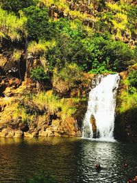 Scenic view of waterfall in forest