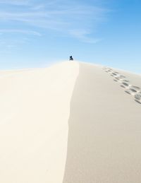 Scenic view of landscape against blue sky