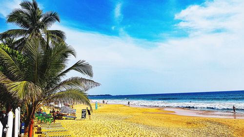 Palm trees on beach against sky