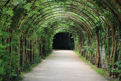 Empty corridor of historic building