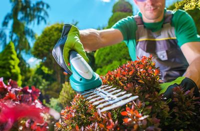 Man cutting plants at garden