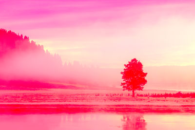 Scenic view of pink lake against sky during sunset