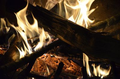 Close-up of bonfire