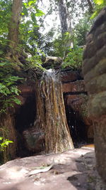 Scenic view of waterfall in forest