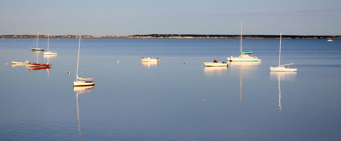 Boats moored at harbor