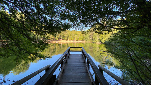 Footbridge over lake in forest