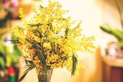 Autumnal leaves on tree trunk