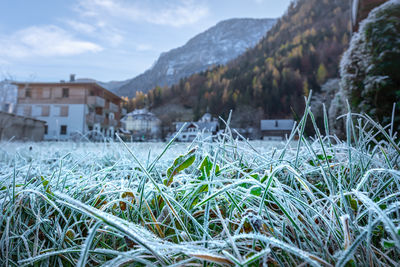 Scenic view of field against mountain