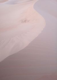 Scenic view of sand dunes in desert