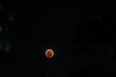 Low angle view of moon against sky at night