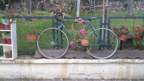 Bicycle parked against trees