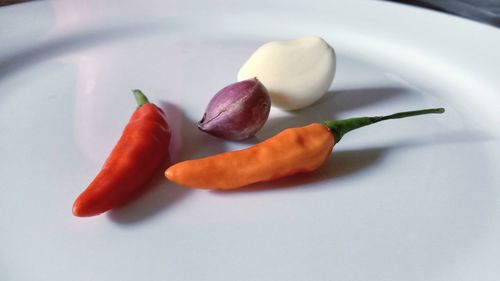 Close-up of chili peppers in plate on table