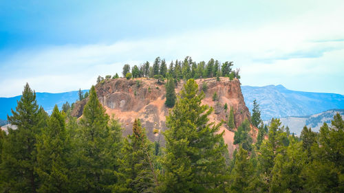 Panoramic view of trees and mountains against sky,yellowstone wyoming