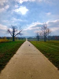 Road amidst bare trees on field against sky