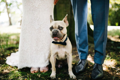 Low section of person with dog standing outdoors