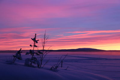 Silhouette of landscape during sunset