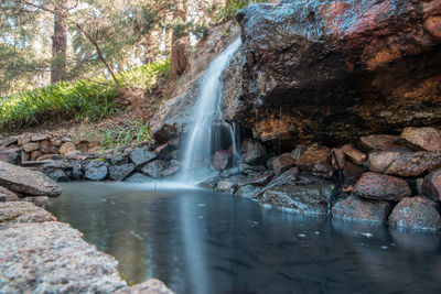 Scenic view of waterfall in forest