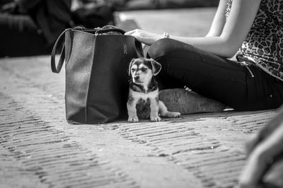 Low section of woman relaxing by puppy on footpath