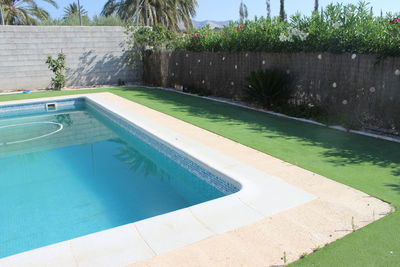 Swimming pool by trees