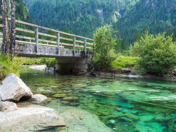 Bridge over river in forest