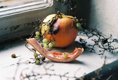Rotten pumpkin and grapes on window sill